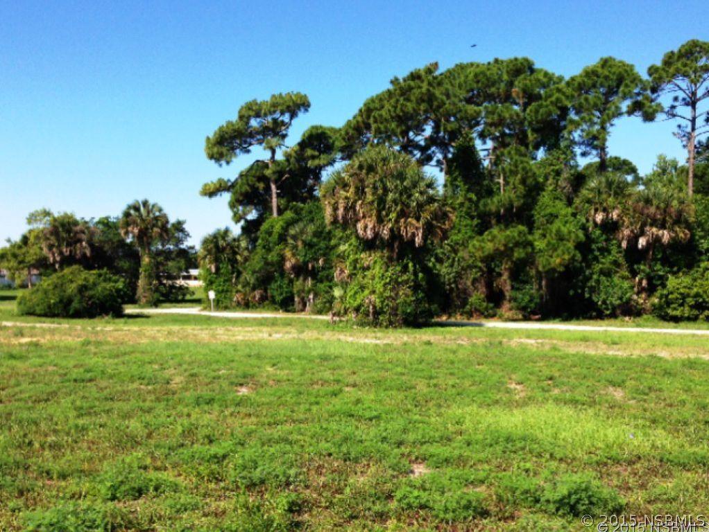 2010 S Ridgewood Ave., Edgewater, FL 32141