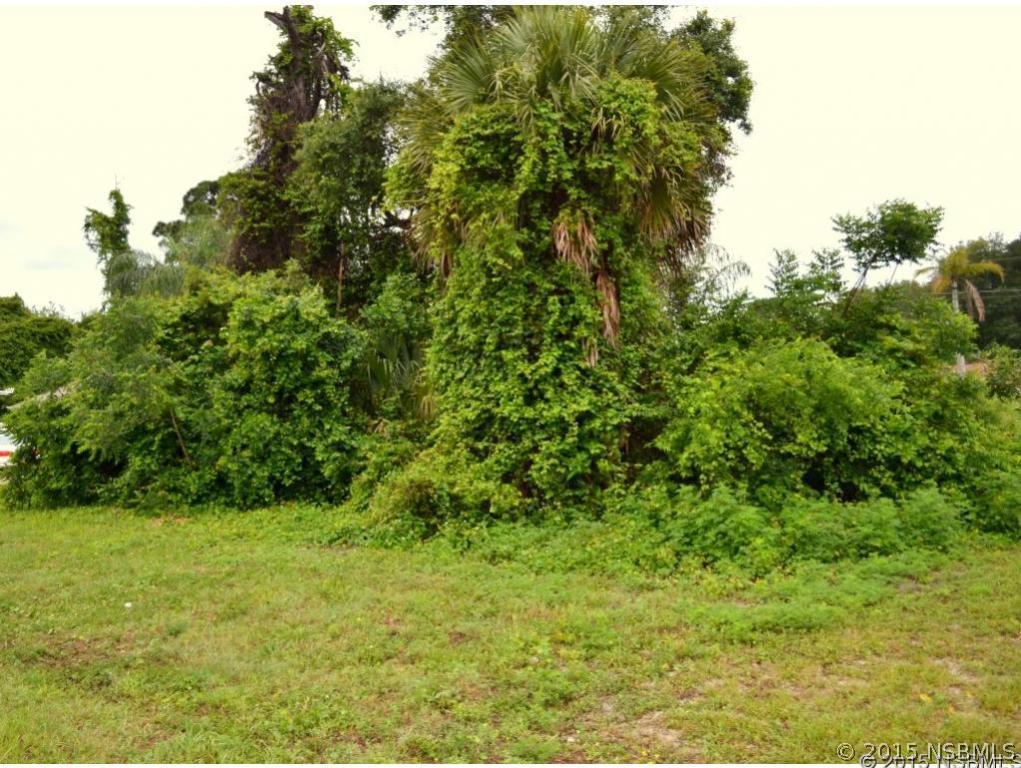 Juniper Dr., Edgewater, FL 32132