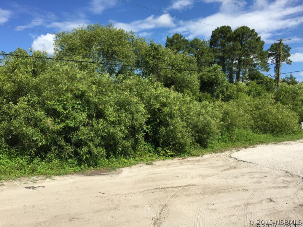 669 Rasley Rd., New Smyrna Beach, FL 32168