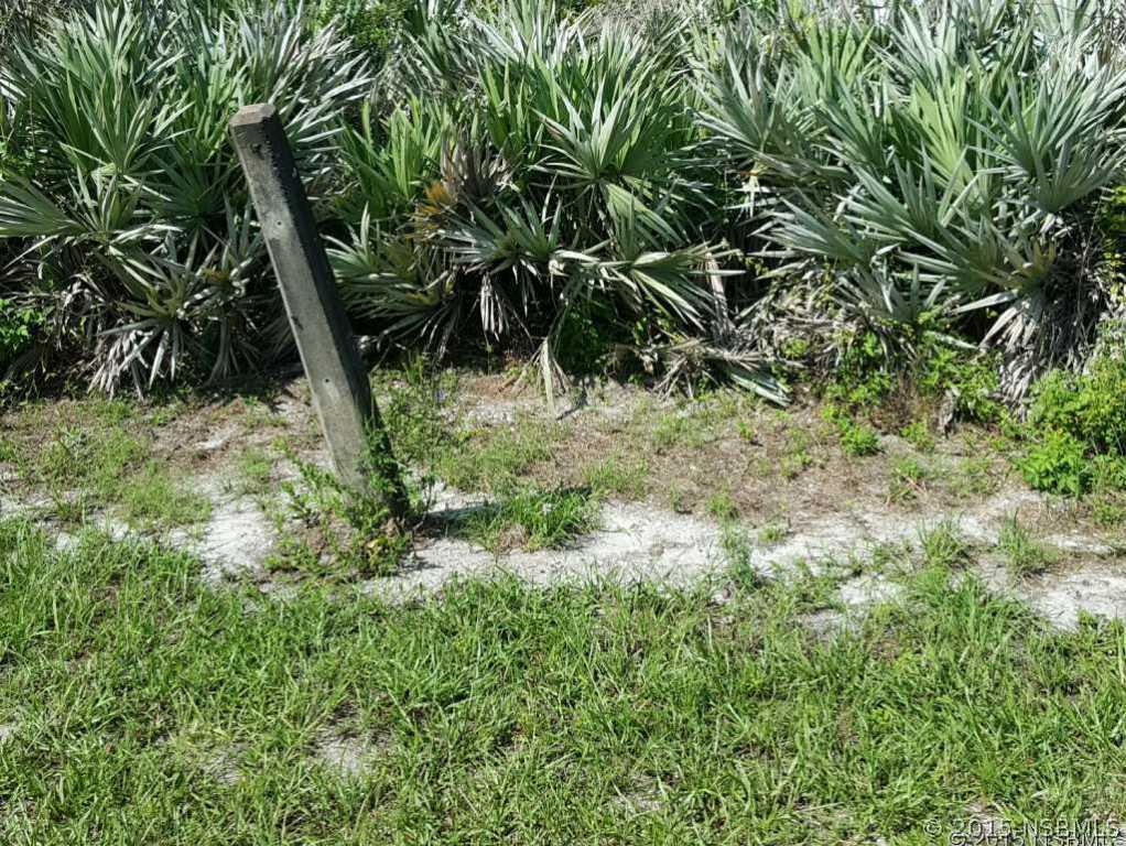 N Us 1, Oak Hill, FL 32759