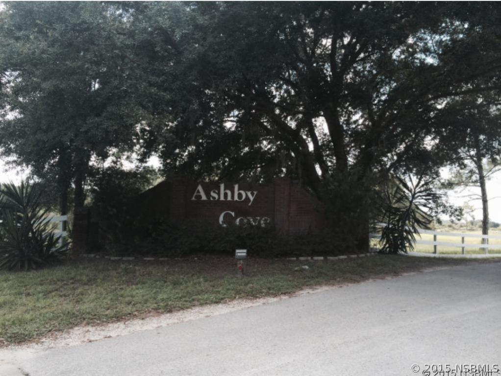343 Equestrians Way, New Smyrna Beach, FL 32168