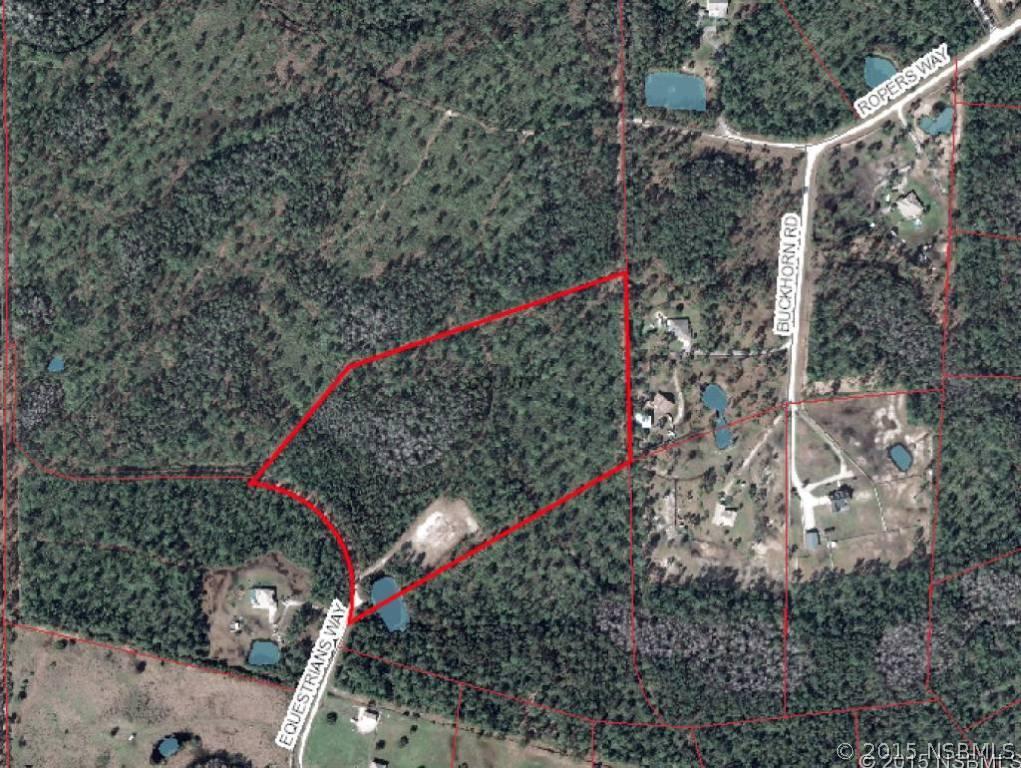 343 Equestrians Way, New Smyrna Beach, FL 32168