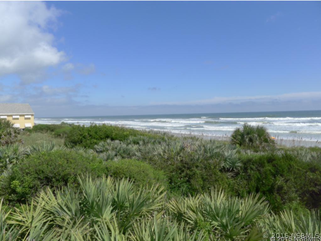 3307 Hill St., New Smyrna Beach, FL 32169