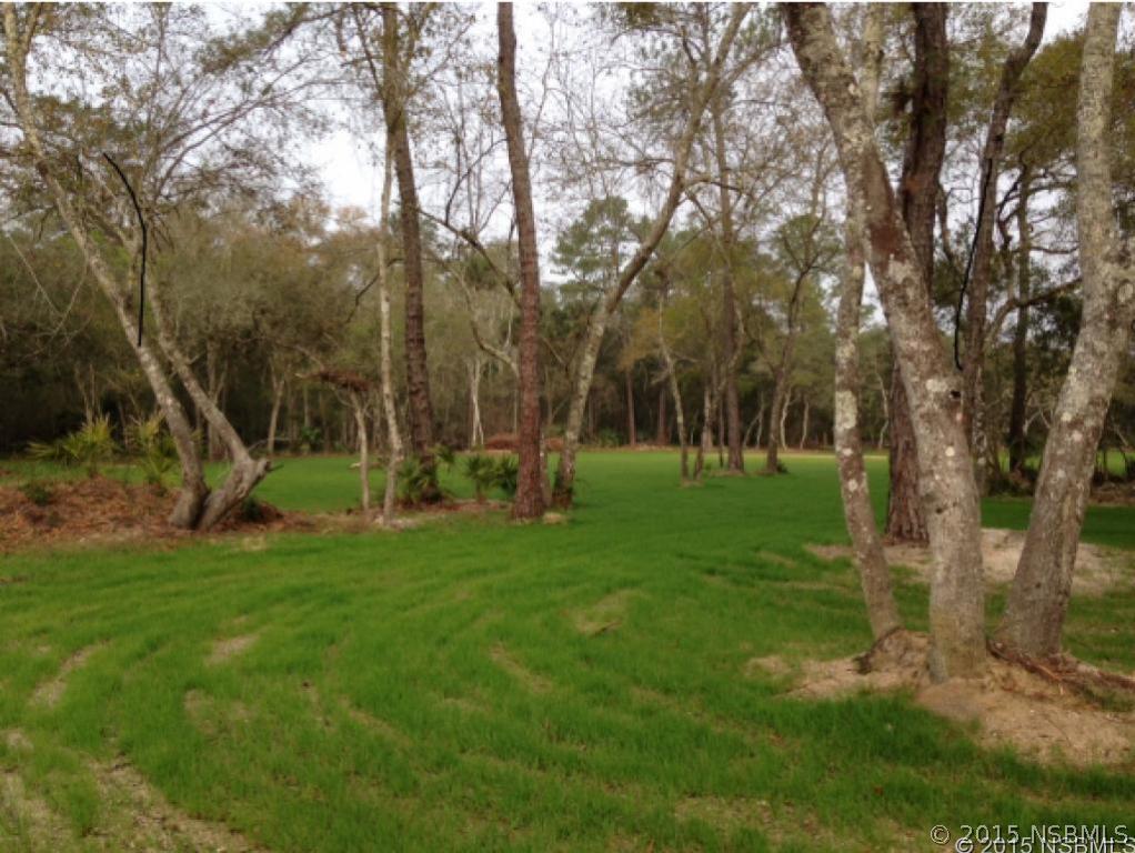 3101 Citrus Dr., Edgewater, FL 32141