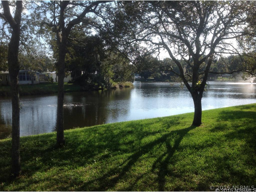 315 Portside Ln., Edgewater, FL 32141