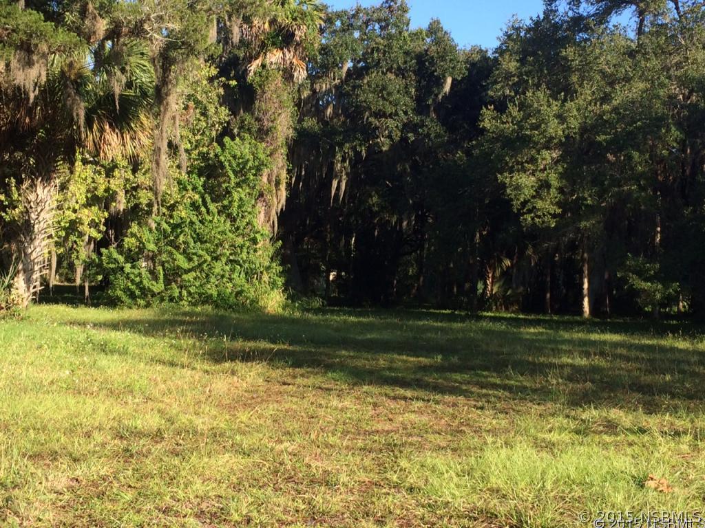 131 W Park Ave., Edgewater, FL 32132