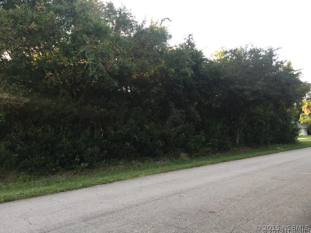 3230 India Palm Dr., Edgewater, FL 32141