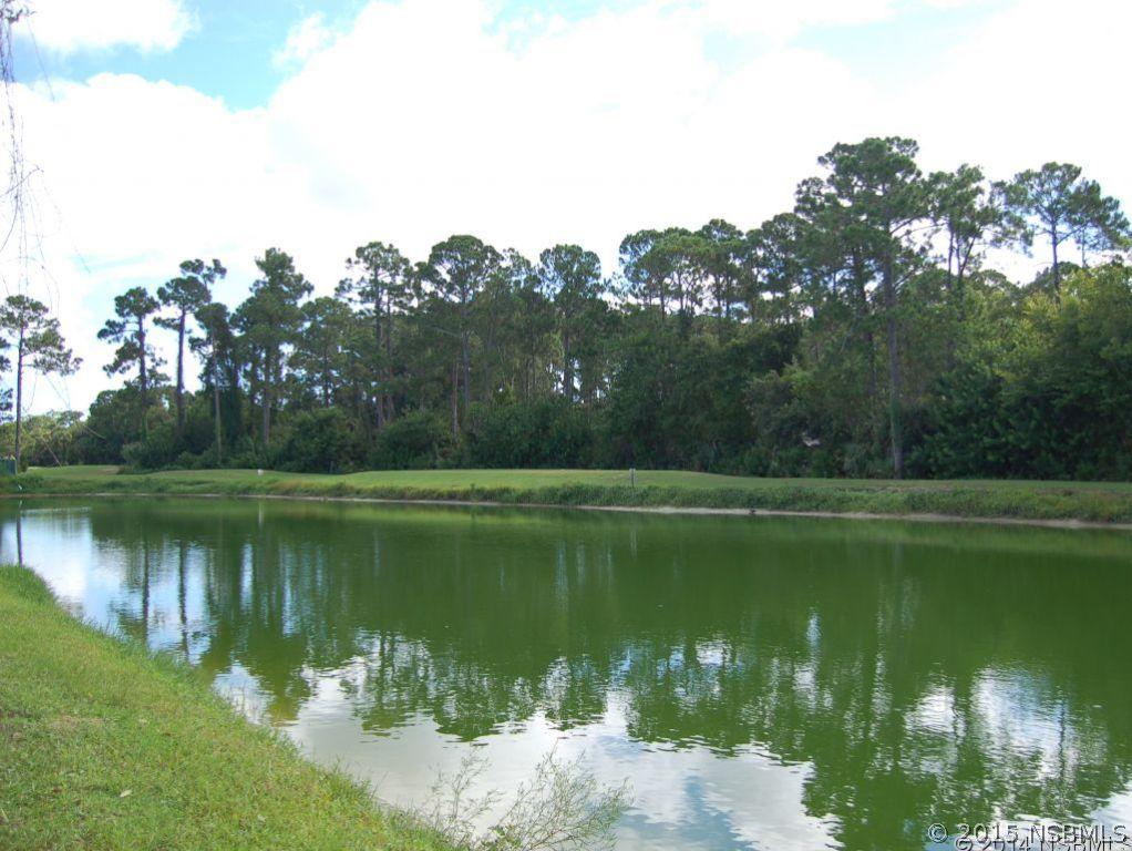 2623 Turnbull Estates Dr., New Smyrna Beach, FL 32168