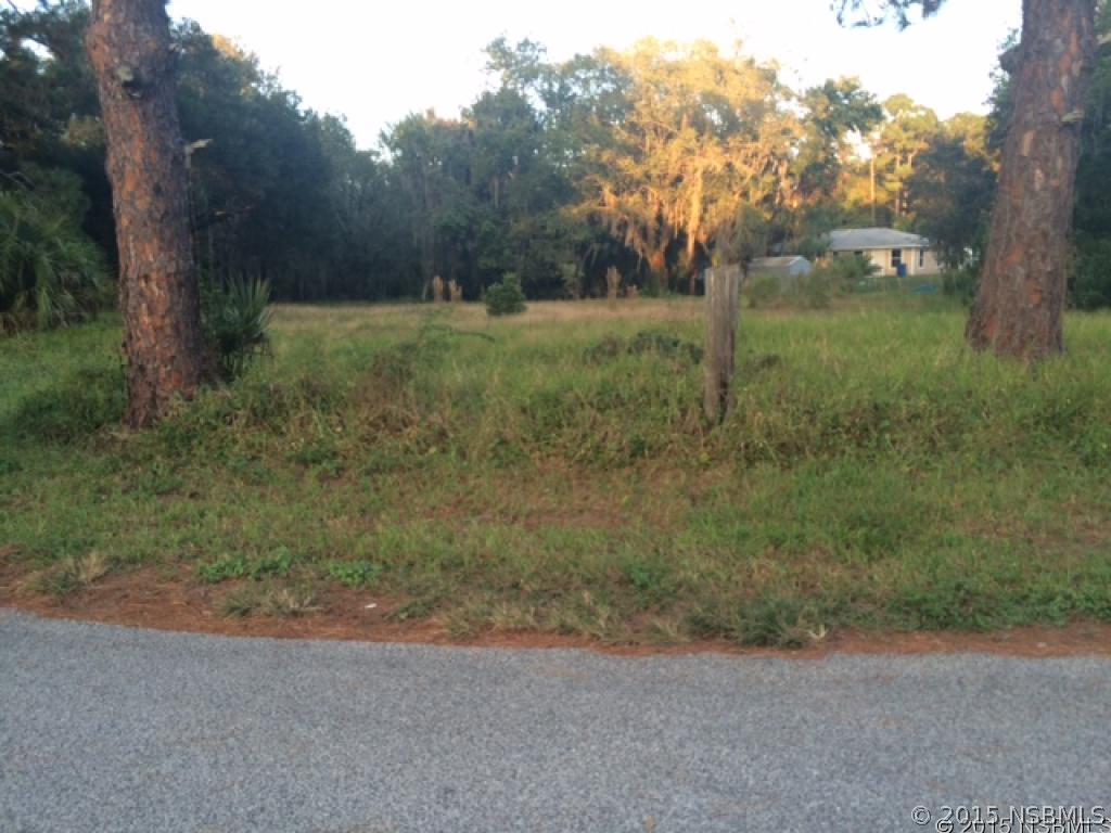303 Cherry St., New Smyrna Beach, FL 32168