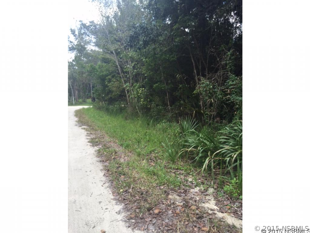 2994 S Ragis Rd., Edgewater, FL 32132