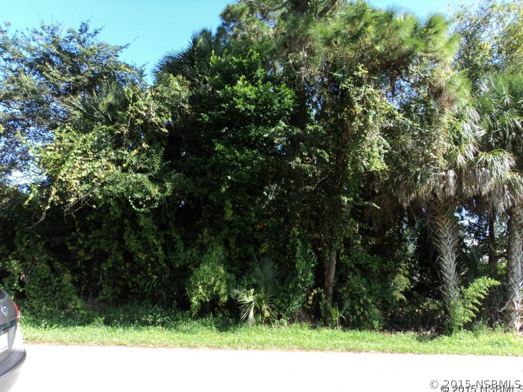 Sabal Palm Dr., Edgewater, FL 32141