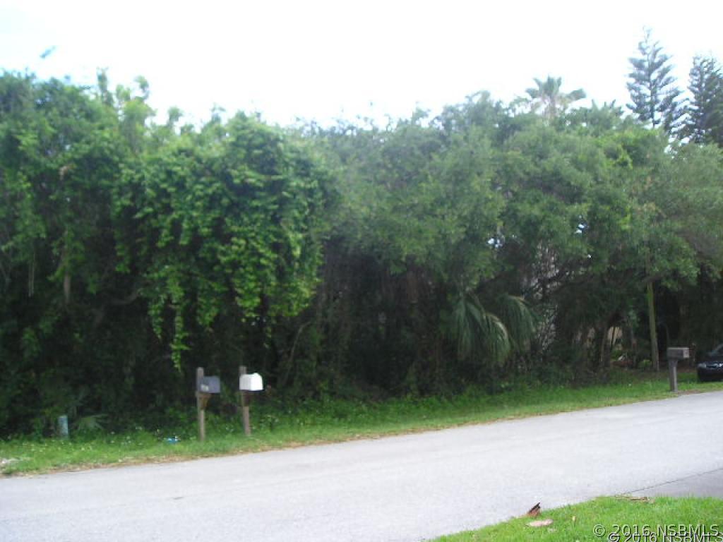 River Rd., New Smyrna Beach, FL 32169