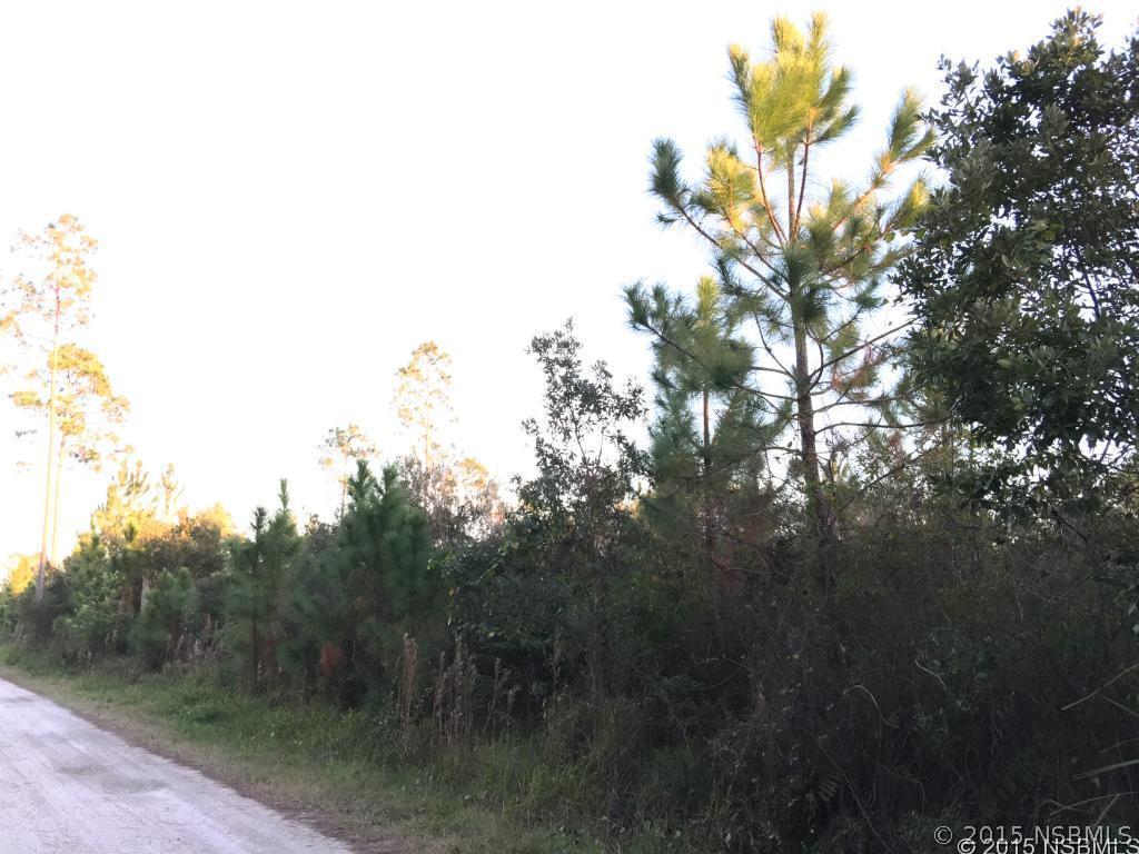 4018 Budd Rd., New Smyrna Beach, FL 32168