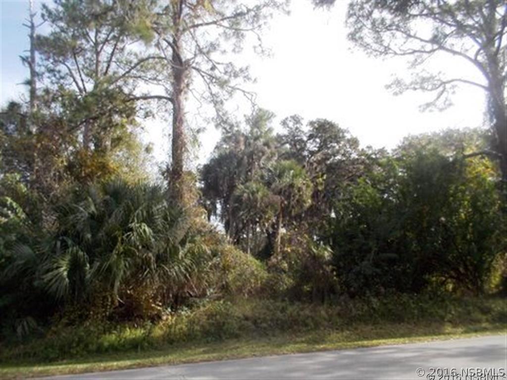 Victory Palm Dr., Edgewater, FL 32141