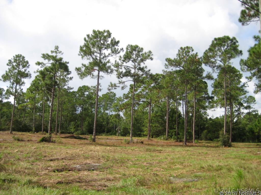 Crestwood Ave., New Smyrna Beach, FL 32168