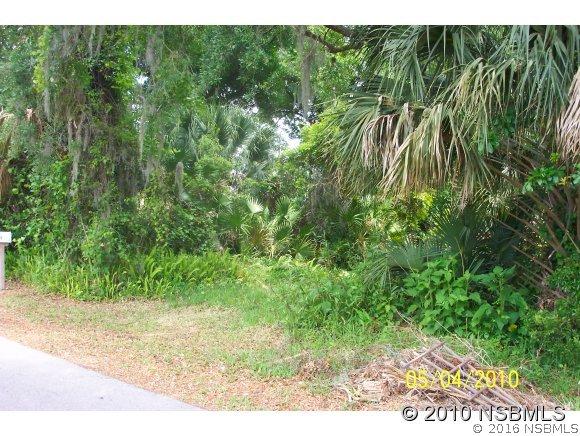 [Address Hidden by Seller], Edgewater, FL 32141