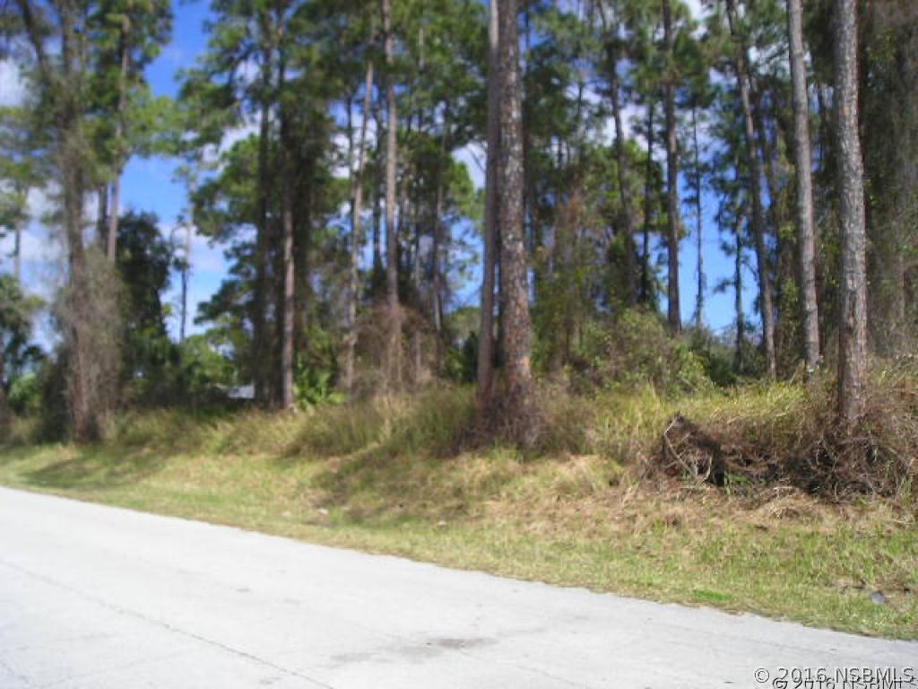 Silver Palm Dr., Edgewater, FL 32141