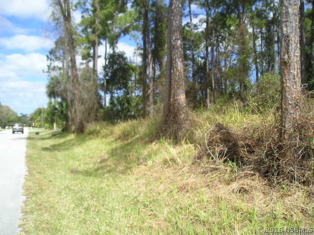 Silver Palm Dr., Edgewater, FL 32141