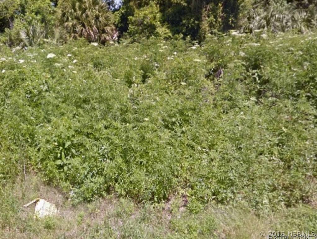 Lime Tree Dr., Edgewater, FL 32141