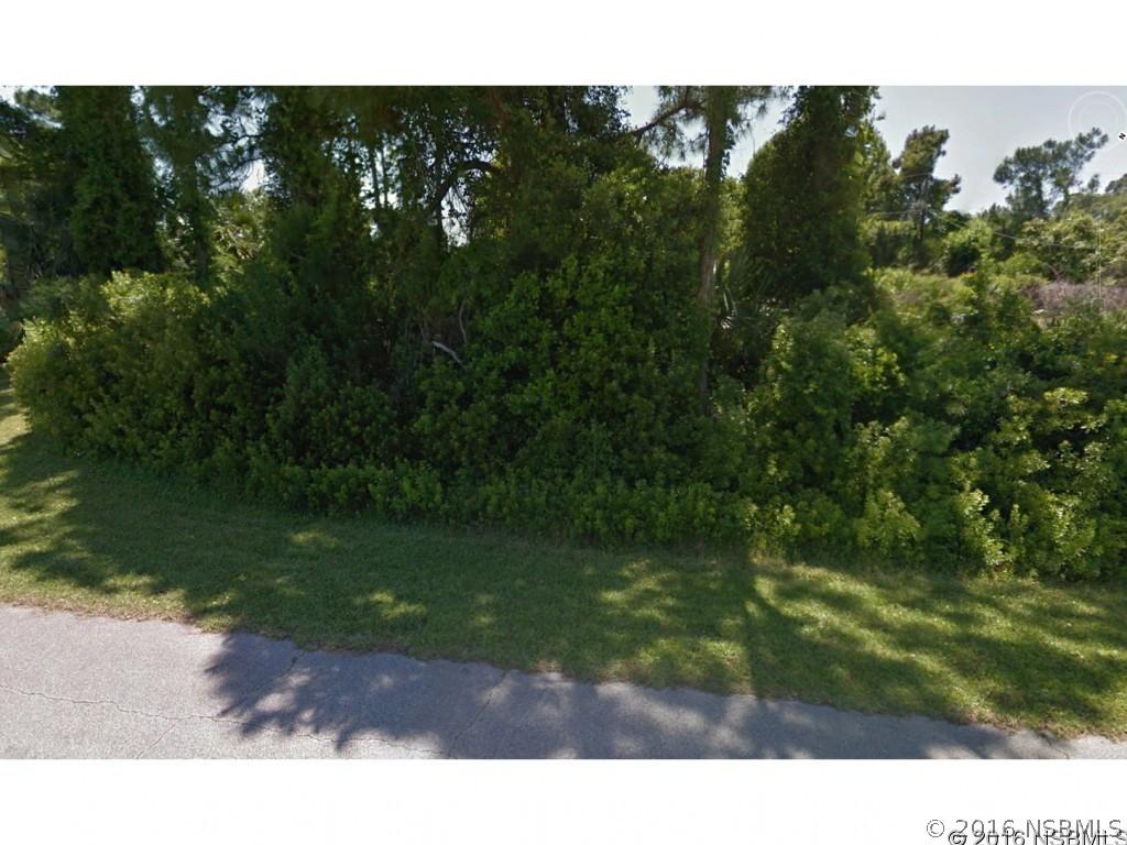 Royal Palm Dr., Edgewater, FL 32132