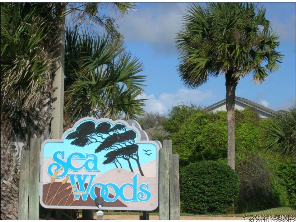 4214 Gull Cove, New Smyrna Beach, FL 32169