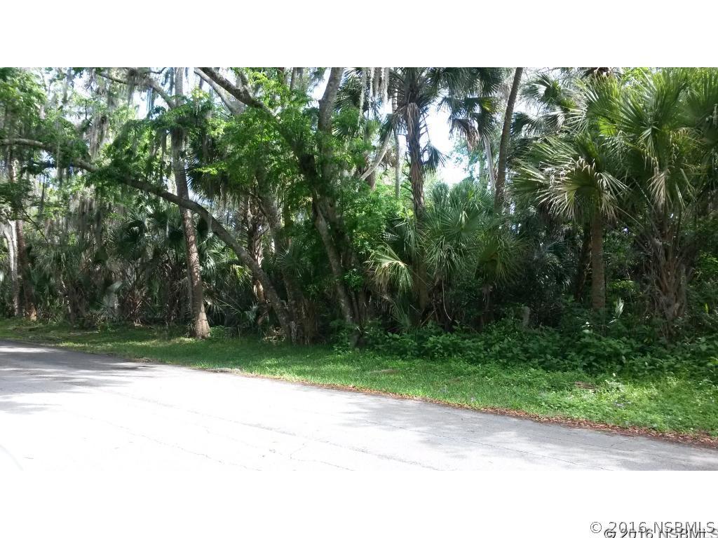Mango Tree Dr., Edgewater, FL 32141