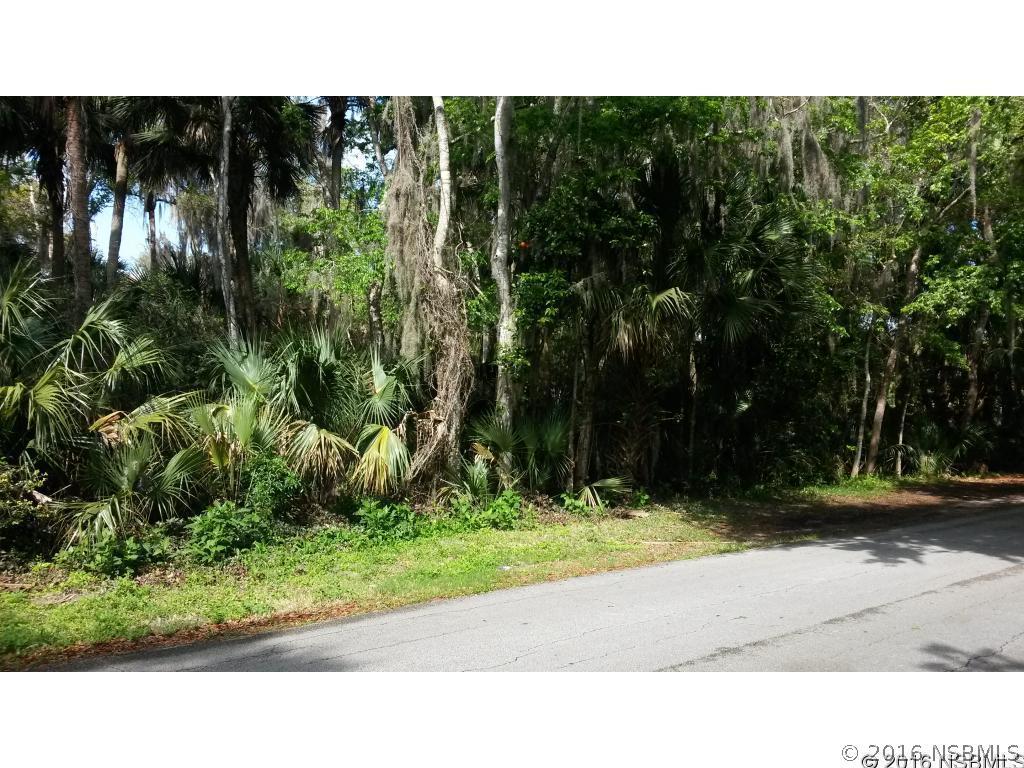 Mango Tree Dr., Edgewater, FL 32141