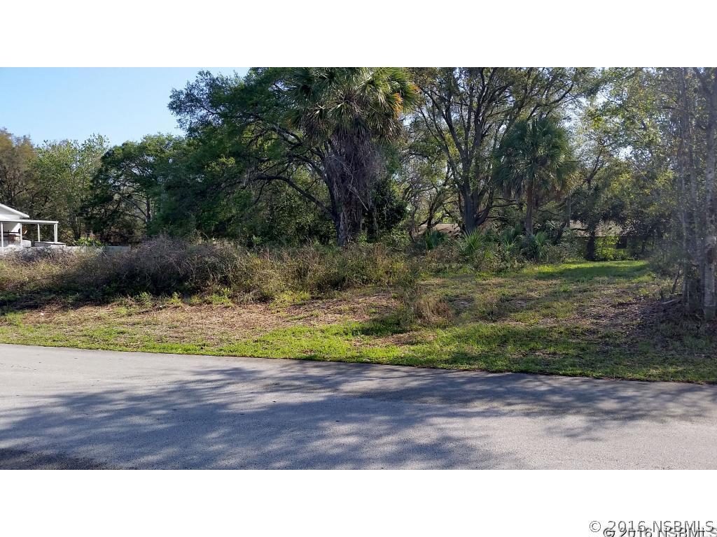 2303 Guava Dr., Edgewater, FL 32141