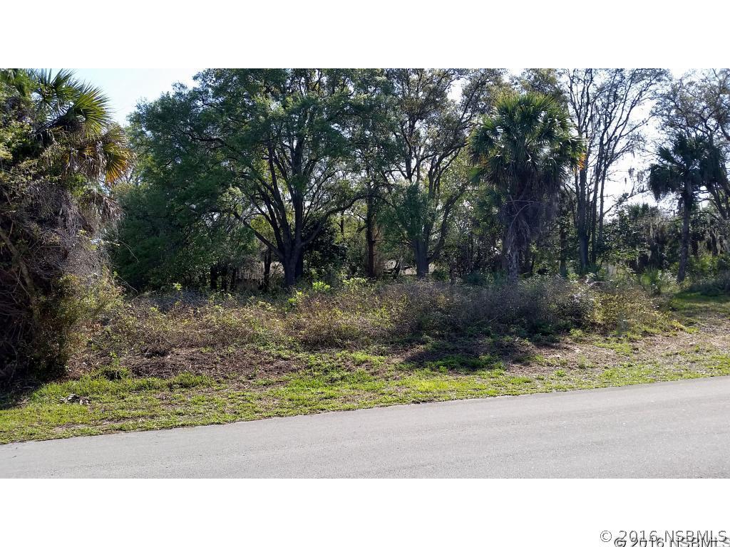 2303 Guava Dr., Edgewater, FL 32141