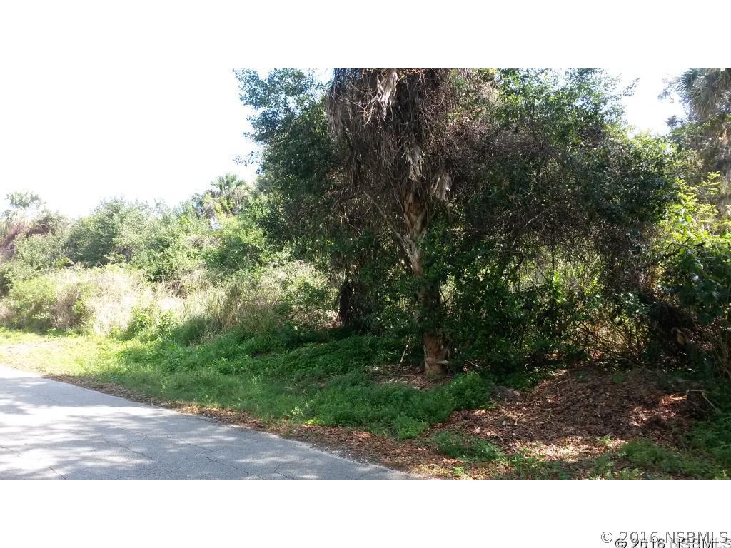 Needle Palm Dr., Edgewater, FL 32132