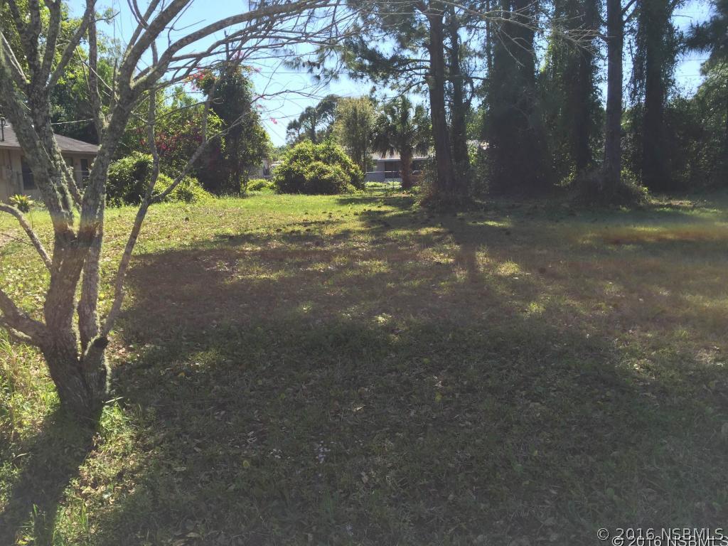 Vista Palm Dr., Edgewater, FL 32132