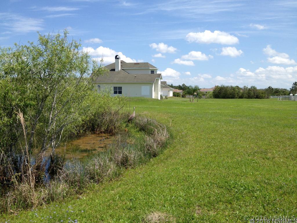 377 Equestrian Way, New Smyrna Beach, FL 32168