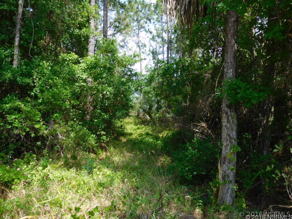 Beacon Rd., Oak Hill, FL 32759