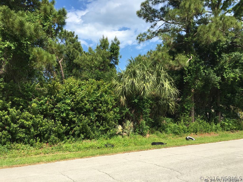 Pine Tree Dr., Edgewater, FL 32141