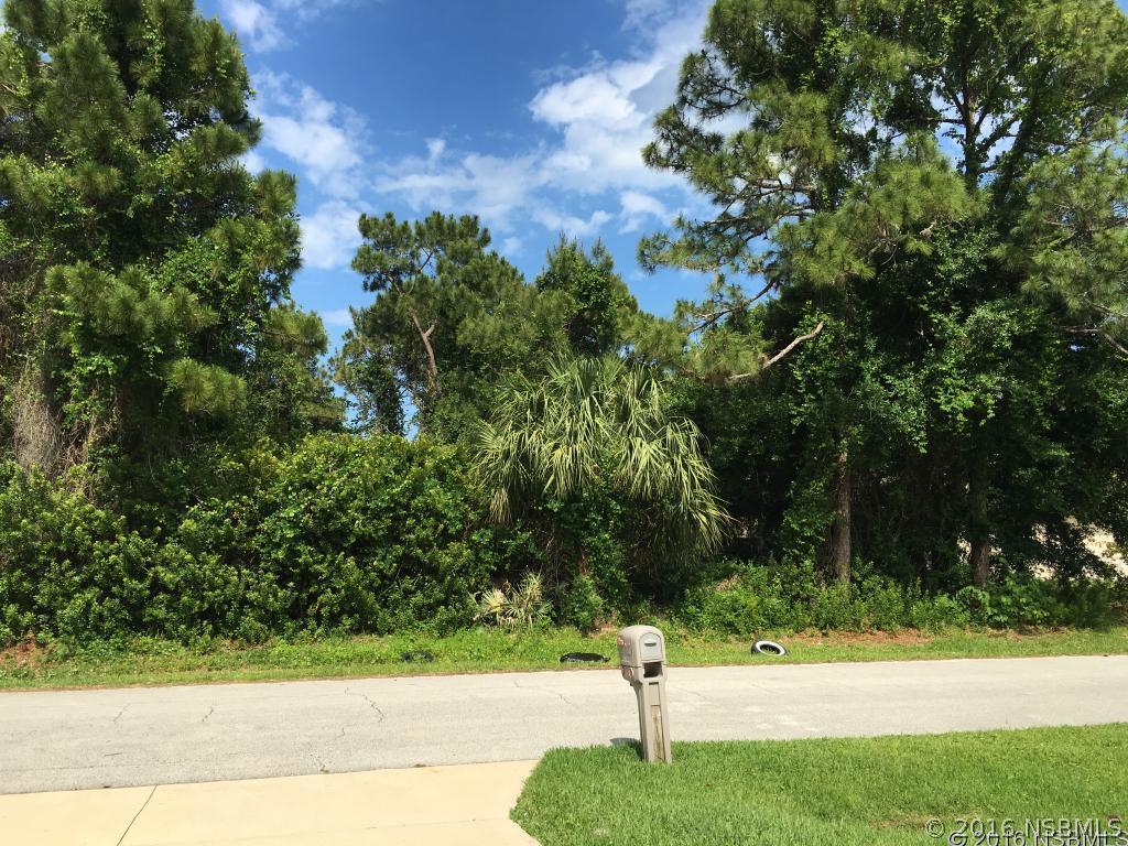 Pine Tree Dr., Edgewater, FL 32141