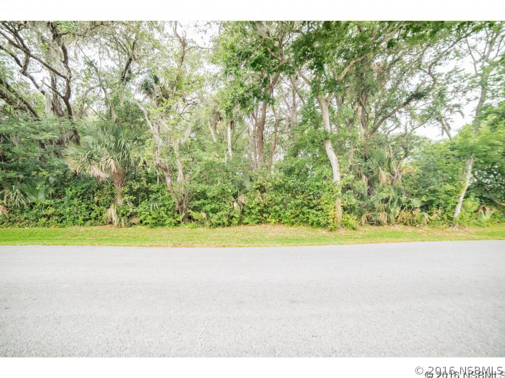 Queen Palm Dr., Edgewater, FL 32141