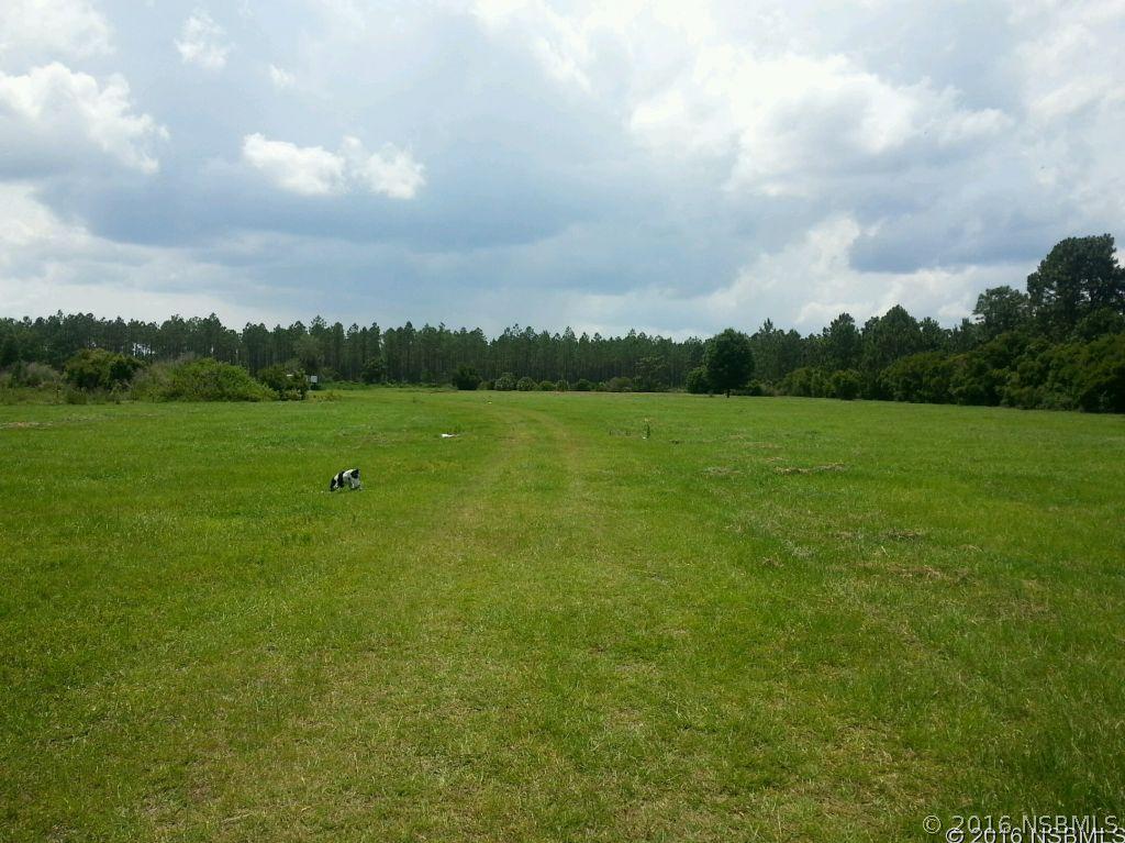 348 Equestrians Way, New Smyrna Beach, FL 32168