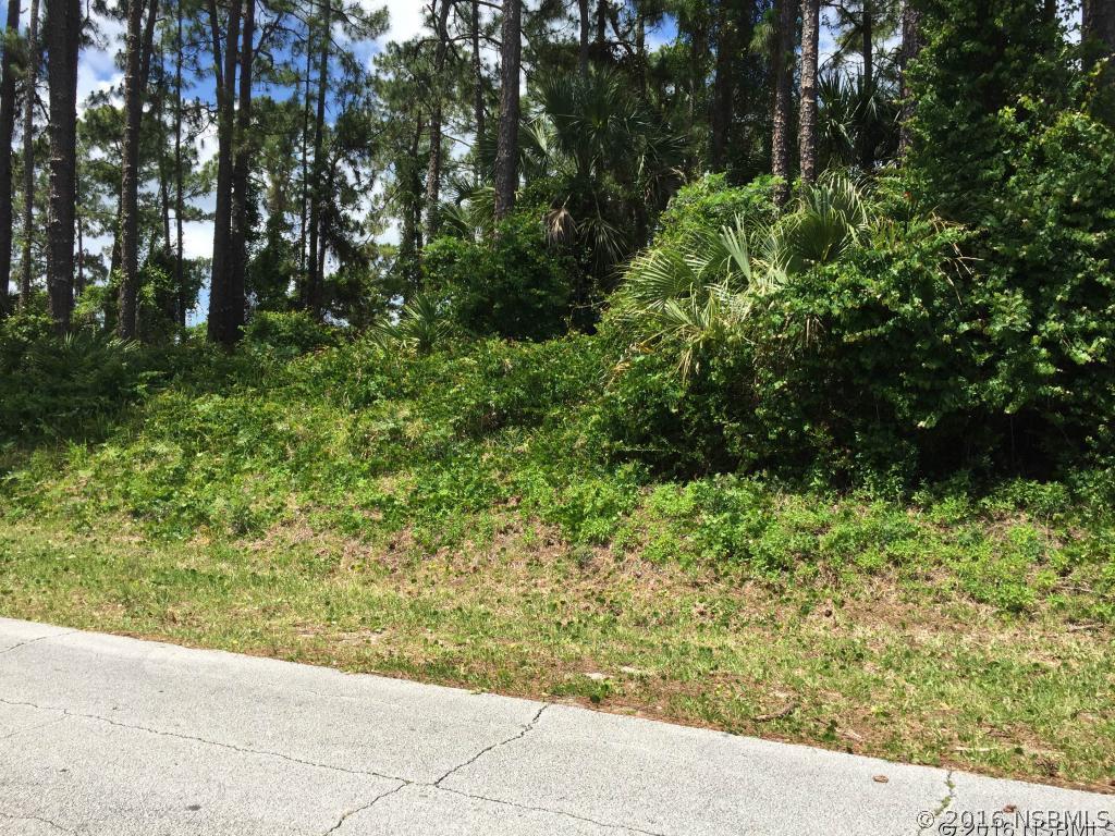 Fern Palm Dr., Edgewater, FL 32141