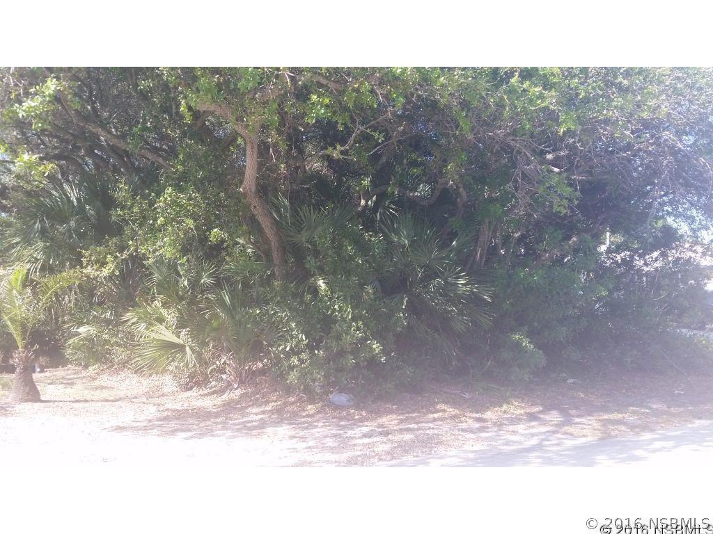 Bay Dr., New Smyrna Beach, FL 32168