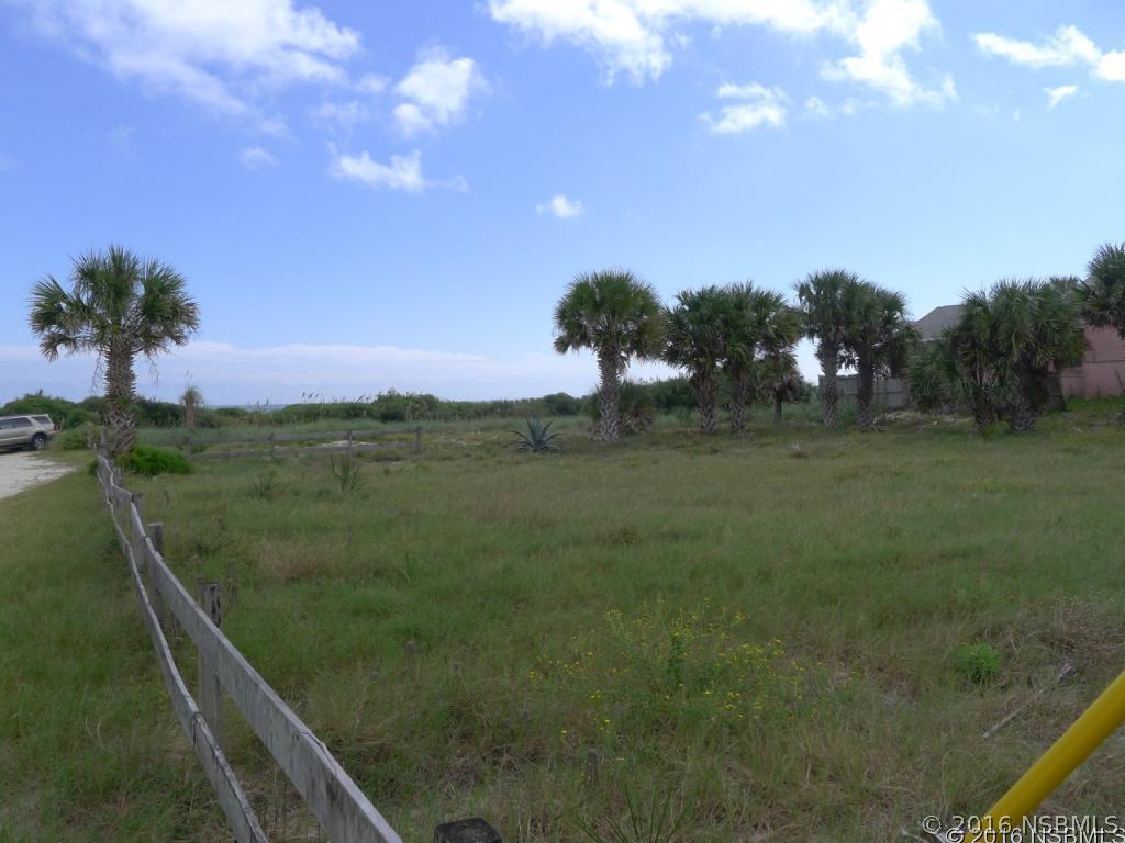 3301 Hill St., New Smyrna Beach, FL 32169