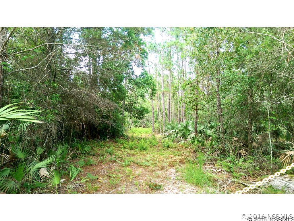 4043 Quail Nest Ln., New Smyrna Beach, FL 32168