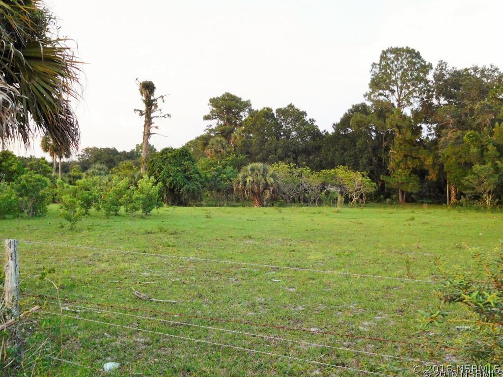 Us Highway 1, Oak Hill, FL 32759