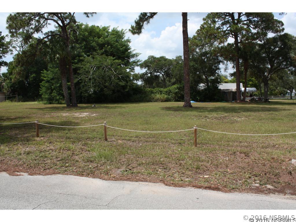 119 E Pine Bluff St., Edgewater, FL 32132