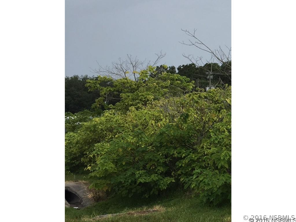 Needle Palm Dr., Edgewater, FL 32132