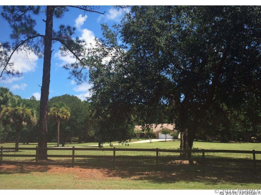 435 Spring Forest Dr., New Smyrna Beach, FL 32168