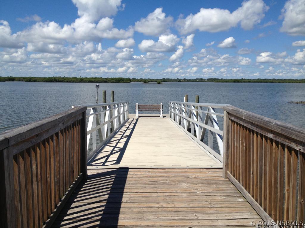 3836 E Sandstone Ct., New Smyrna Beach, FL 32169