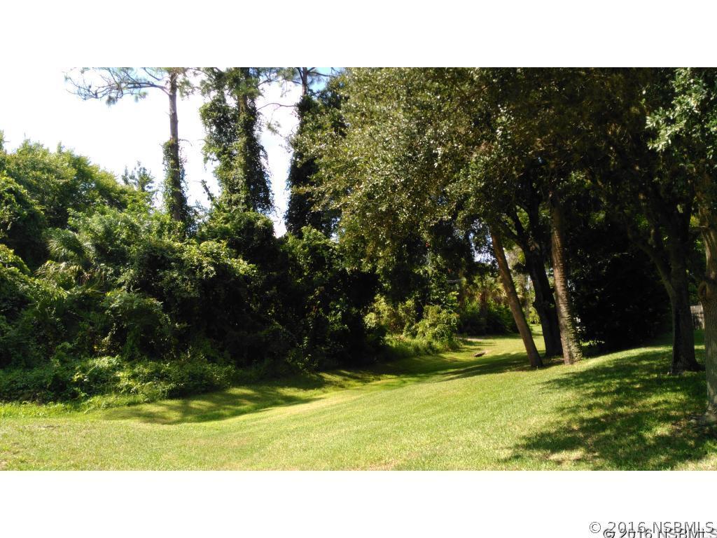 Yule Tree Dr., Edgewater, FL 32141