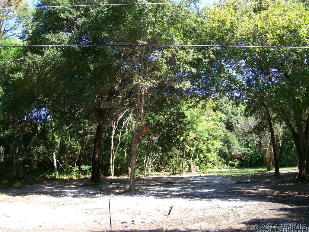 266 Sargent Ave., Oak Hill, FL 32759