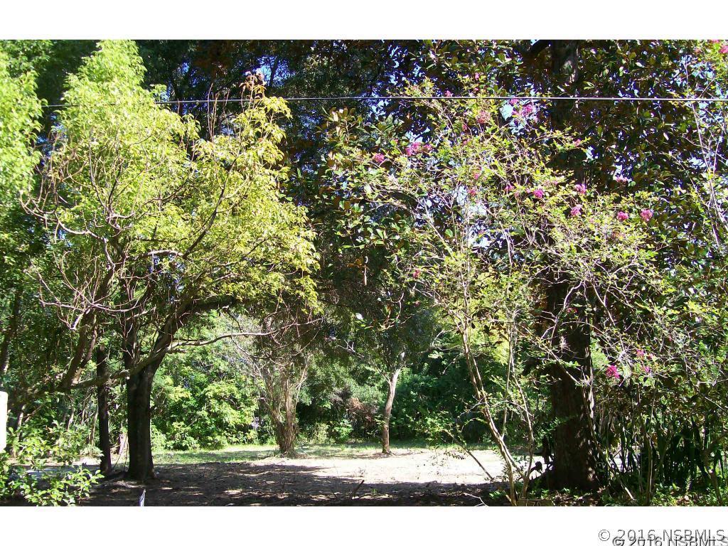 270 Sargent Ave., Oak Hill, FL 32759