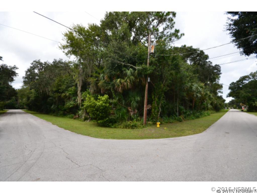 Claudette St., New Smyrna Beach, FL 32168
